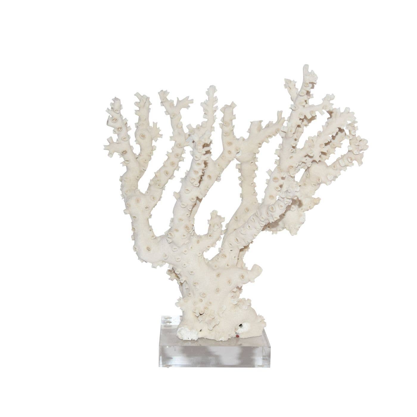 Octopus Coral Sculpture