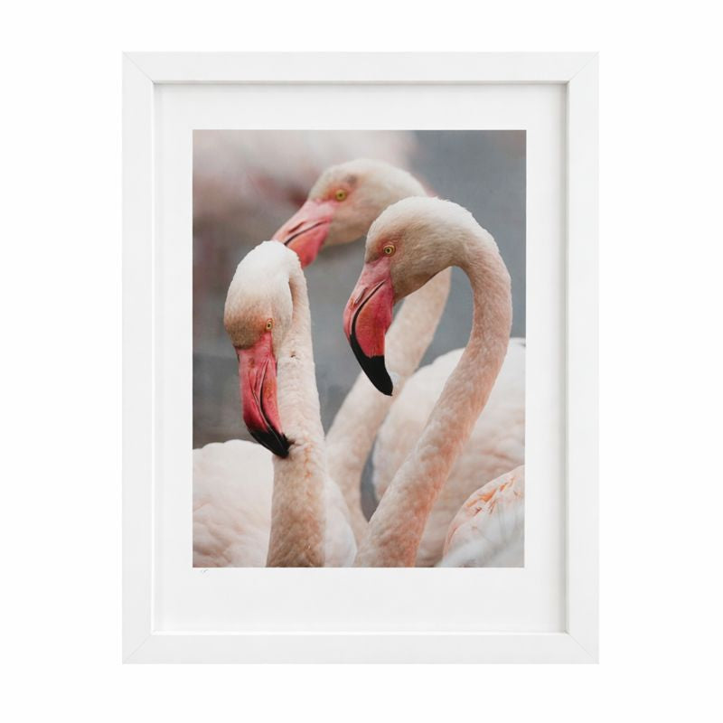 Framed artwork of two flamingos with a white frame
