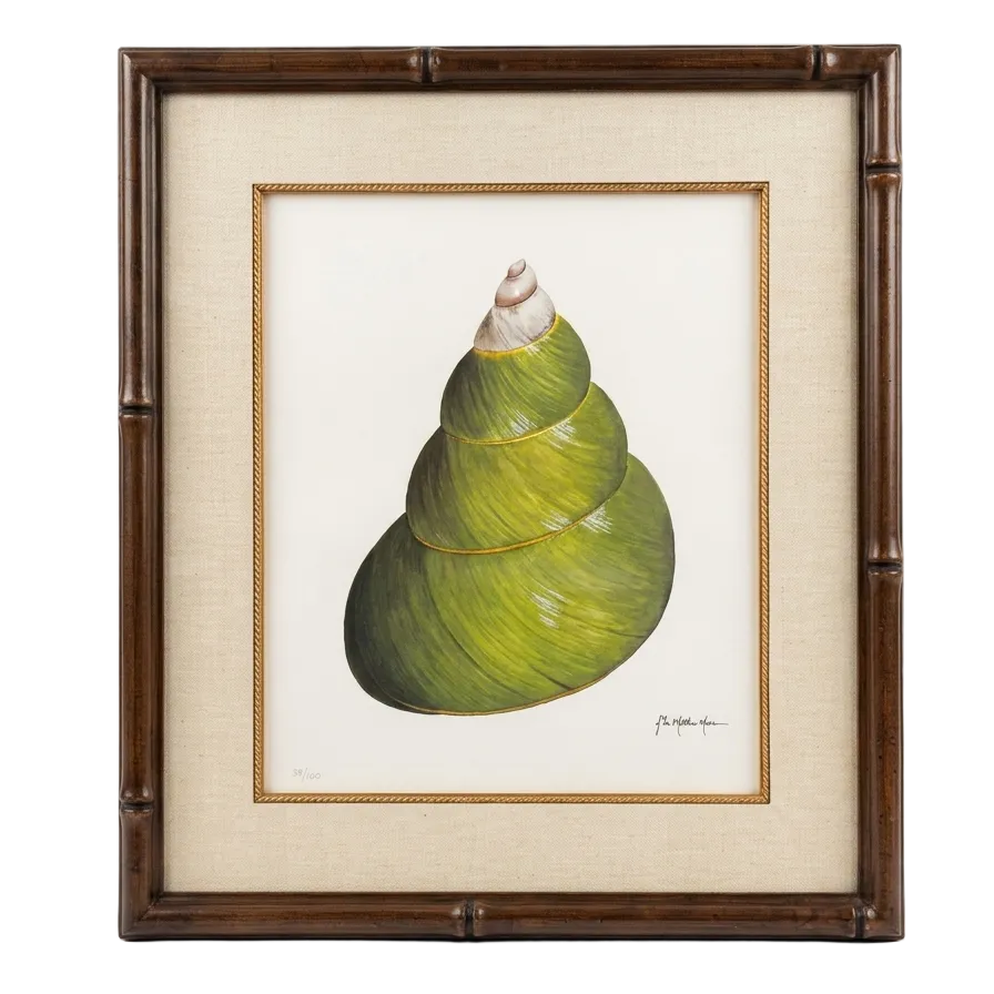 Green Shell Print
