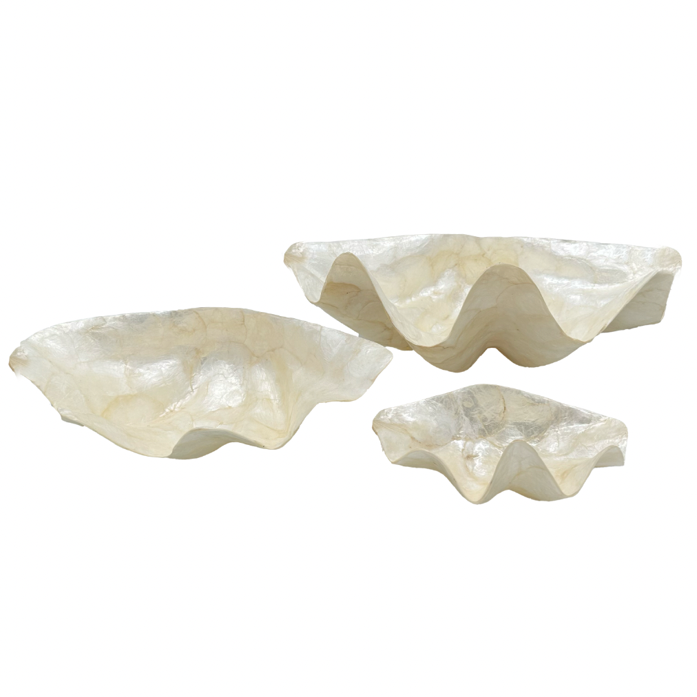 Giant Clam Shells (Capiz Shell)