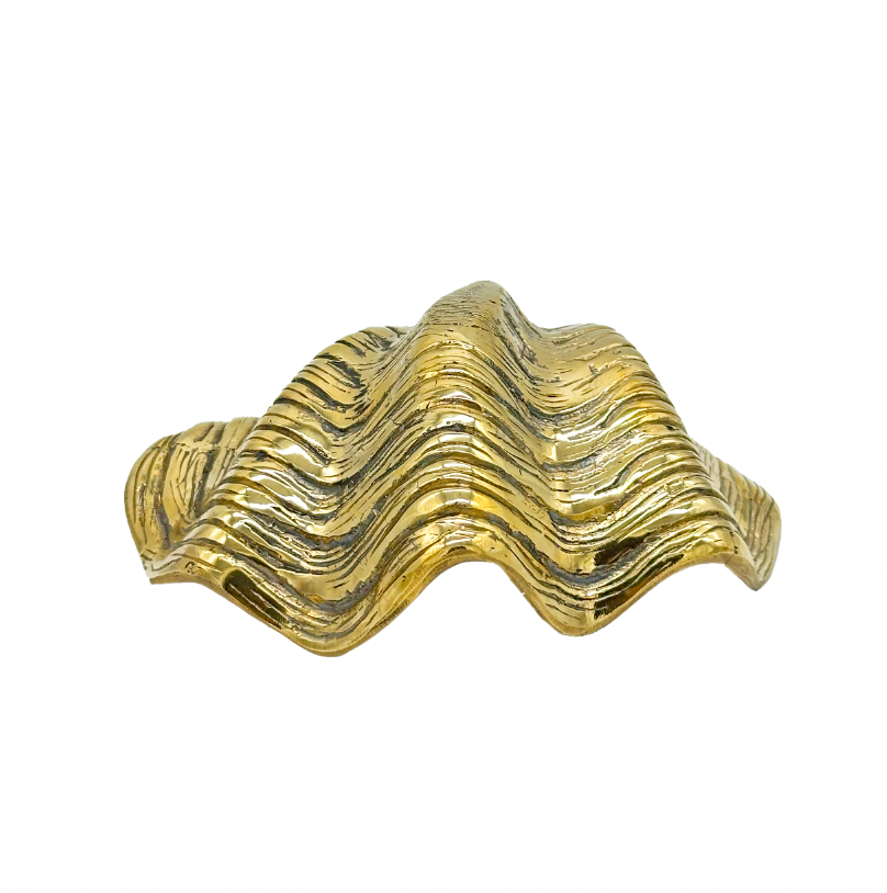 Brass Giant Clam Shell