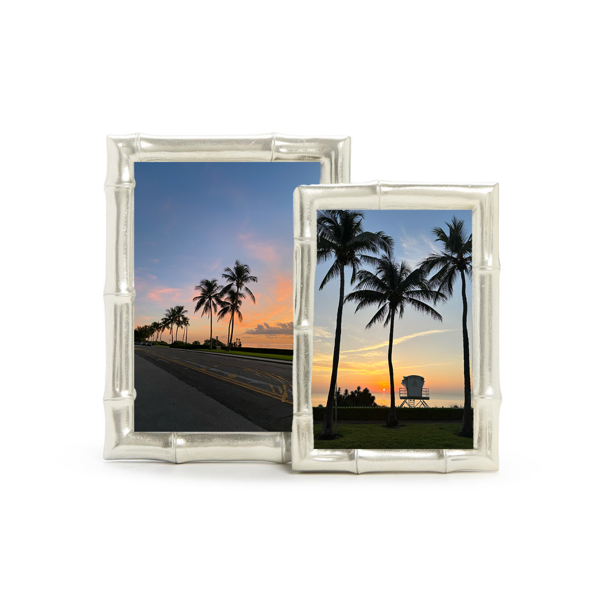 Silver Bamboo Frames