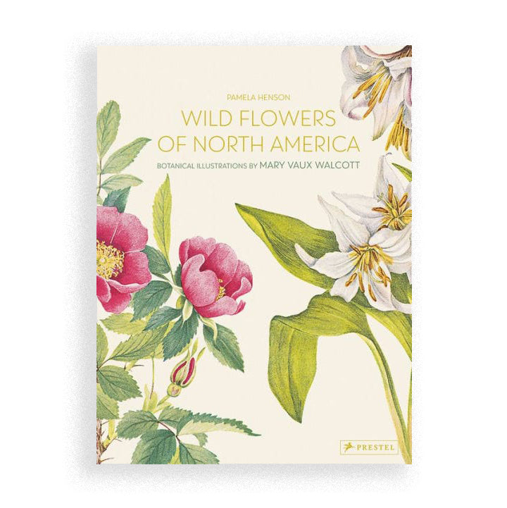 Wild Flowers of North America: Botanical Illustrations by Mary Vaux Walcott