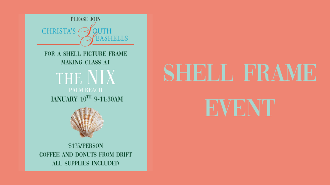 The Nix x Christa South Seashells