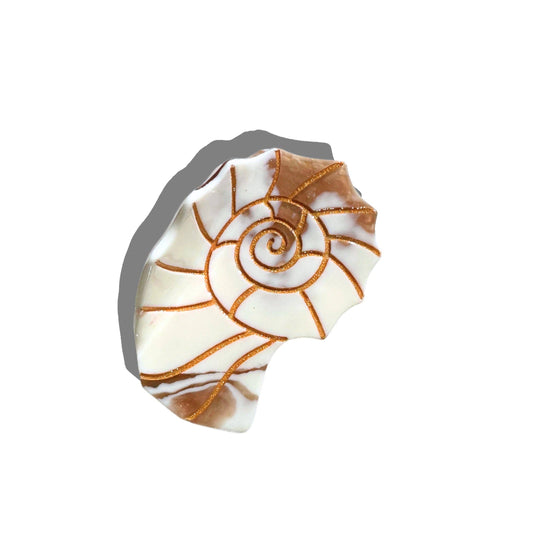 Sundial Shell Claw Hair Clip