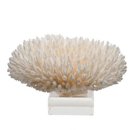 Coral Sculpture