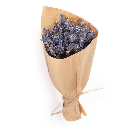 French Lavender Bundle