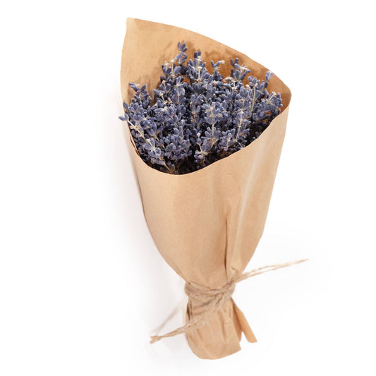 French Lavender Bundle