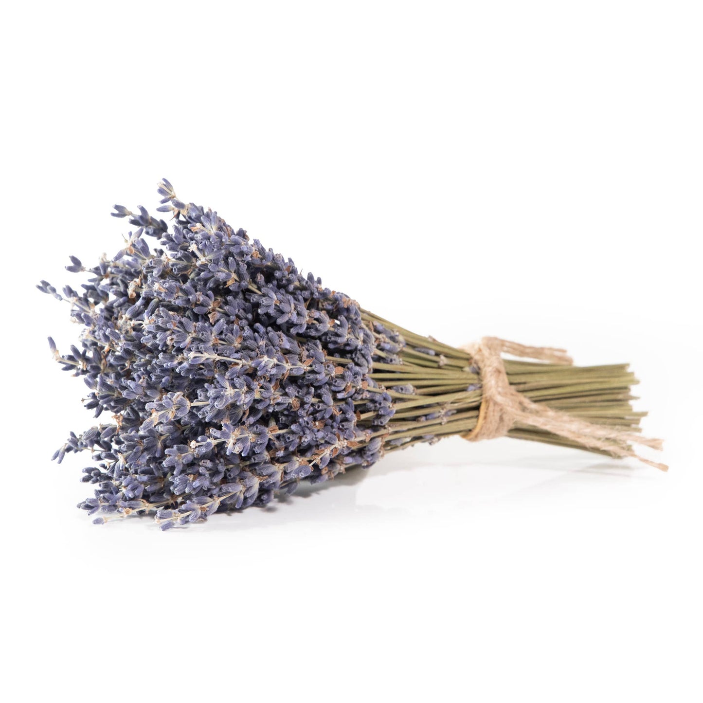 French Lavender Bundle