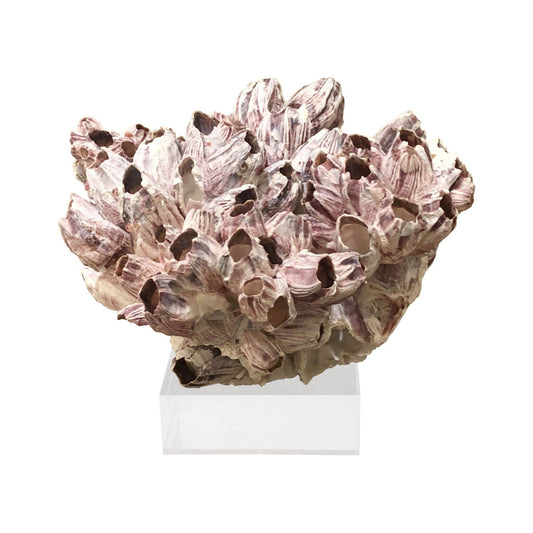 Barnacle Coral Sculpture
