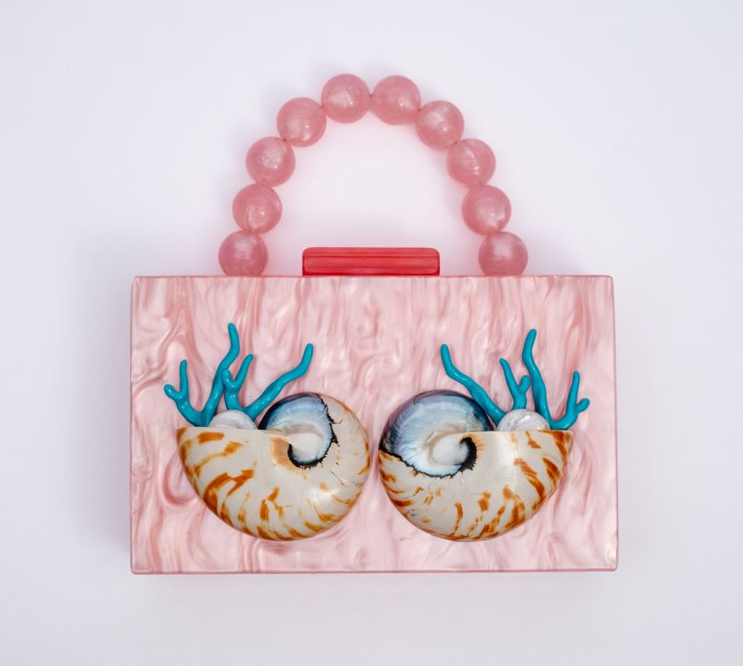  Nautilus collection 貝殻 小物入れ Nautilus Clutch – The Nix