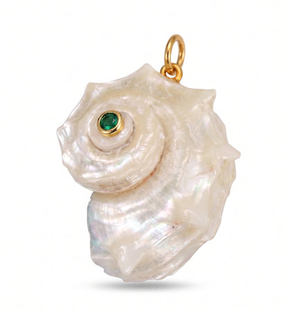 Shell Charms