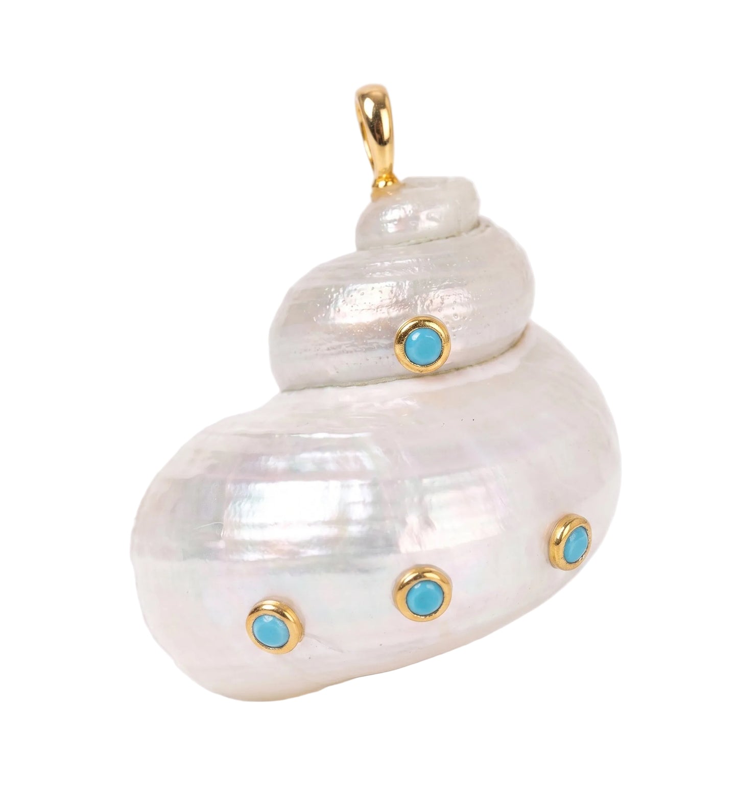 Shell Charms