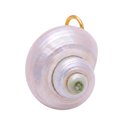 Shell Charms