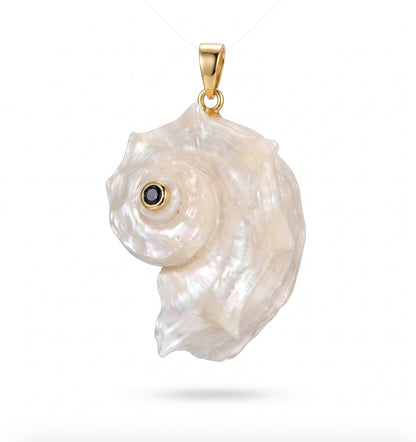 Shell Charms