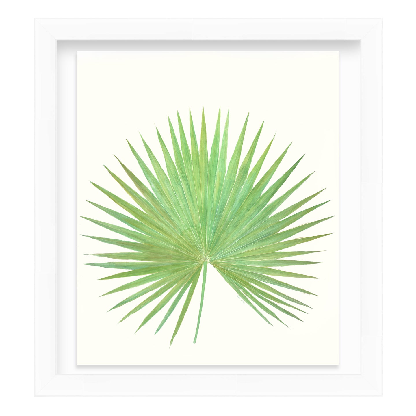 Green Palmetto Palm by Dragana Connaughton