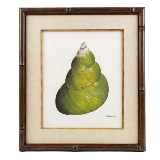 Green Shell Print