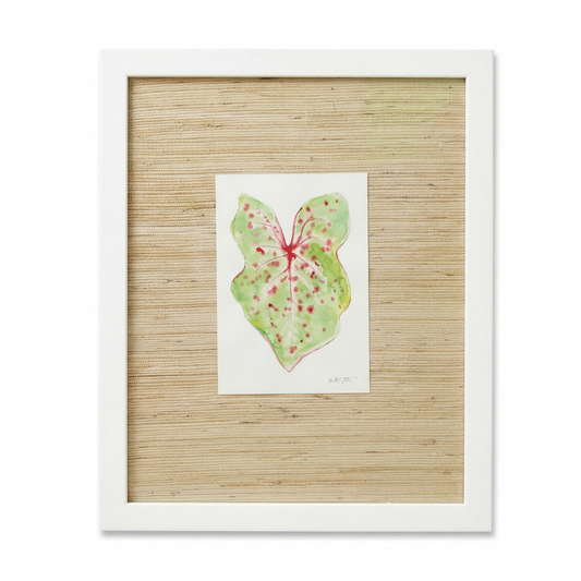 Begonia Leaf Watercolors by Lizzi Connaughton
