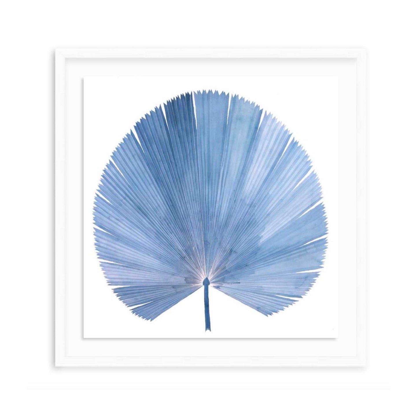 Fan Palm Print by Lizzi Connaughton