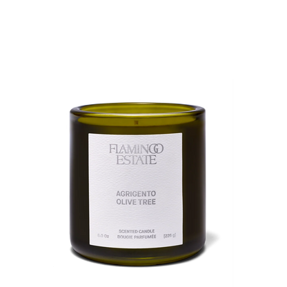 Ancient Agrigento Olive Tree Candle