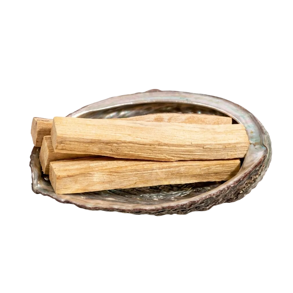 Three Palo Santo wooden sticks in a shell on a white background