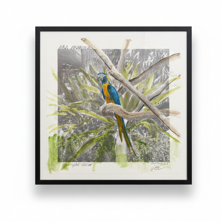 Framed artwork of a parrot on a branch with a white background