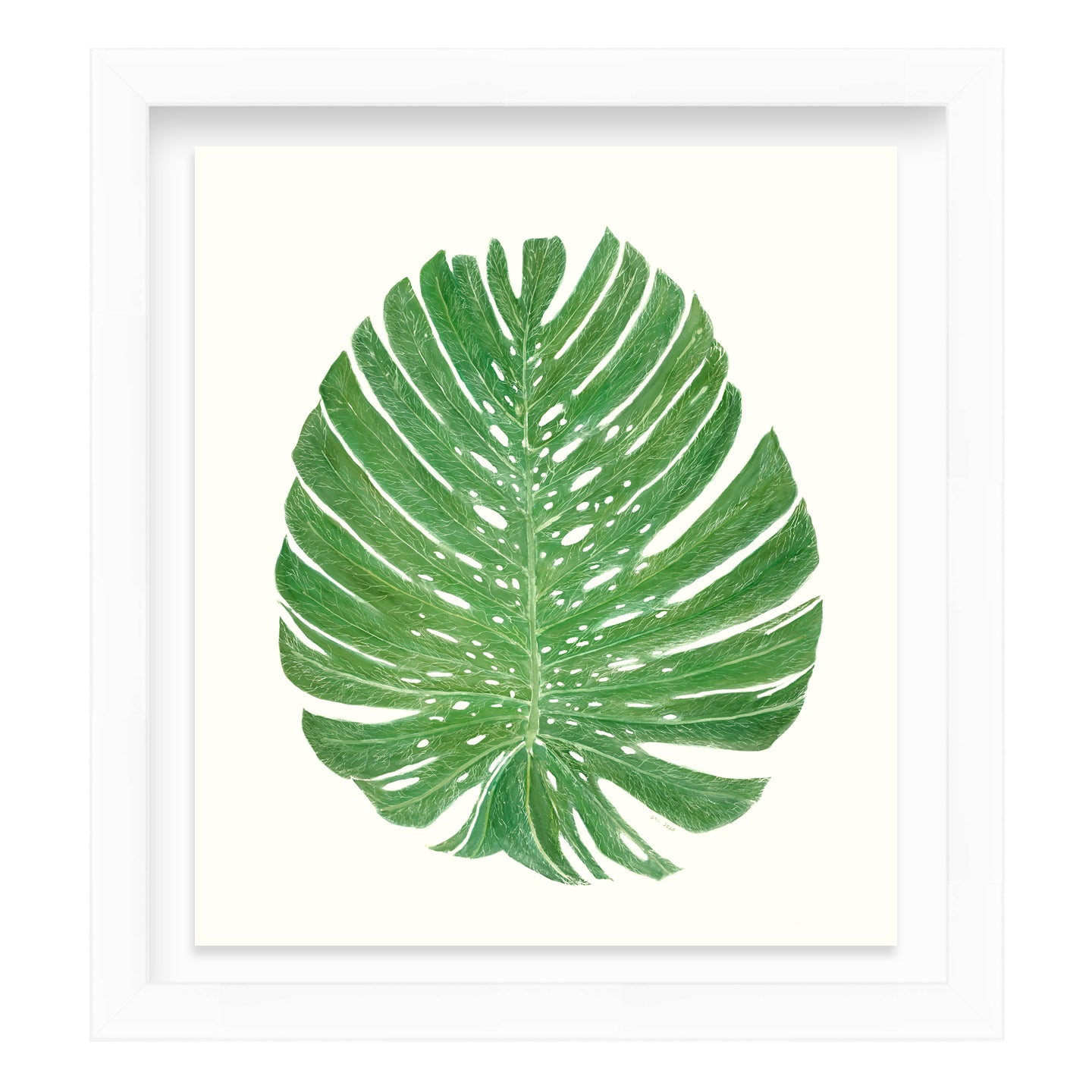 Philodendron Print by Dragana Connaughton