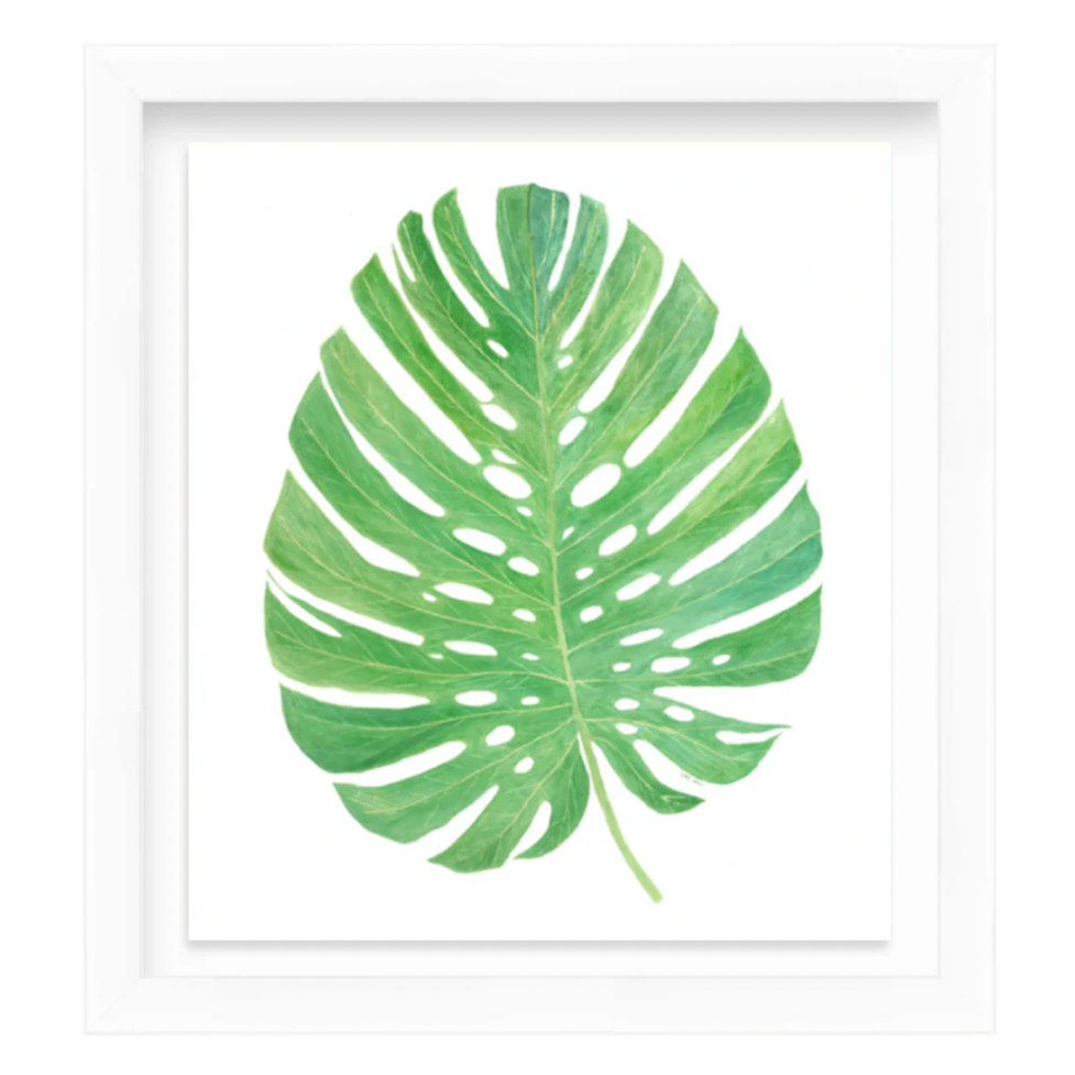 Philodendron Print II by Dragana Connaughton