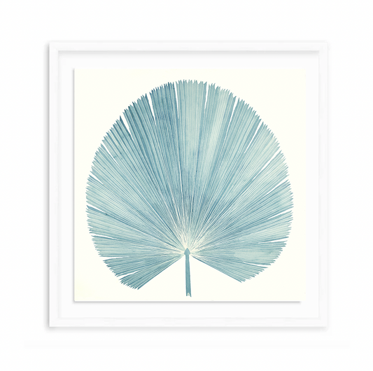 Aqua Fan Palm Print by Lizzi Connaughton