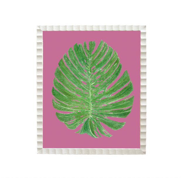 Mini Palm Print Collection