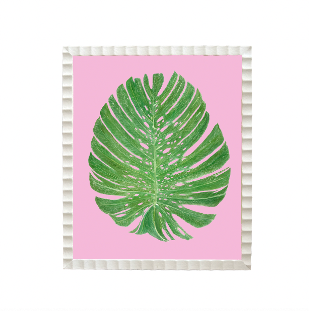 Mini Palm Print Collection