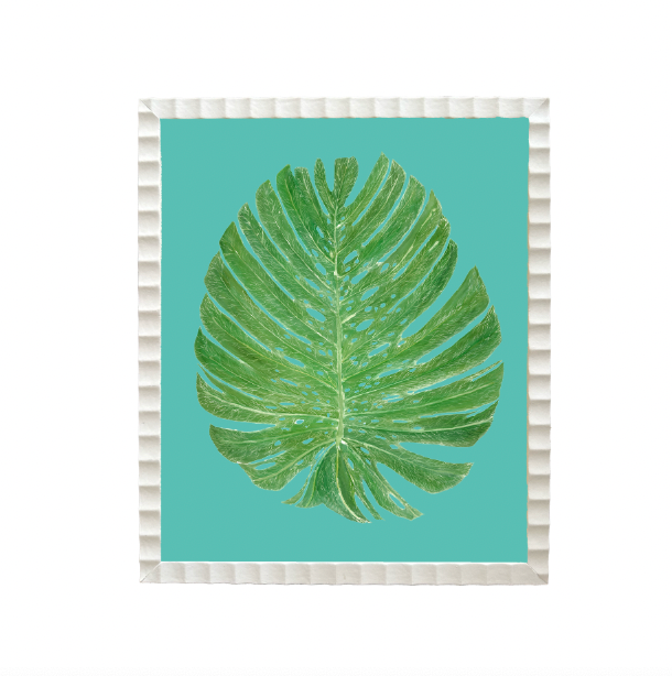 Mini Palm Print Collection