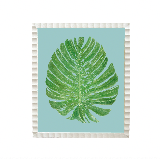 Mini Palm Print Collection