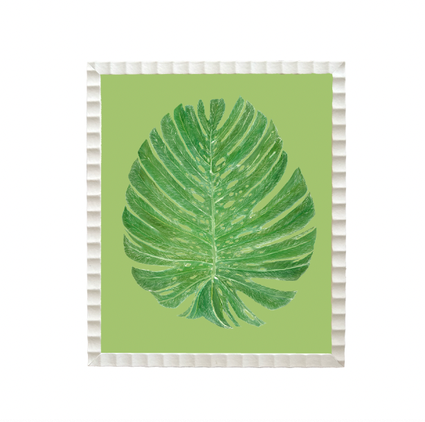 Mini Palm Print Collection