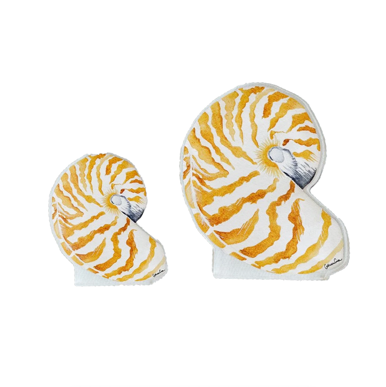 Acrylic Shell Decor by Catherine Cartie