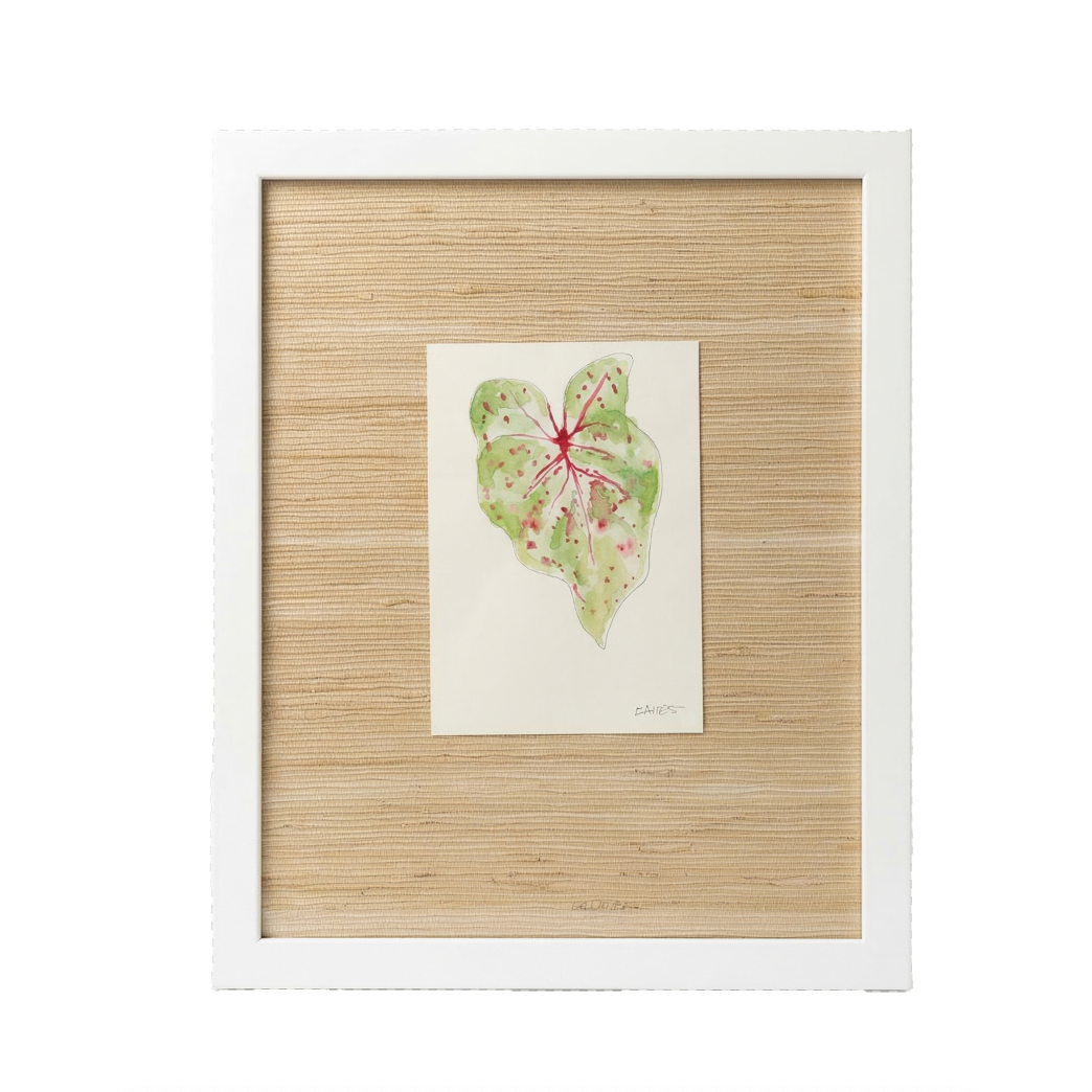 Begonia Leaf Watercolors by Lizzi Connaughton