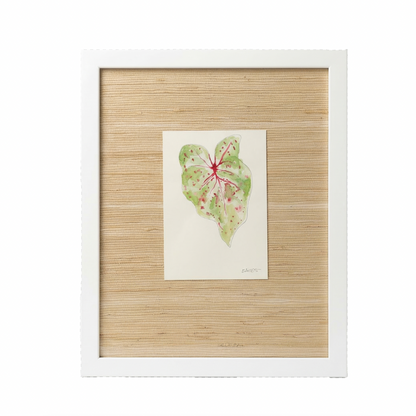 Begonia Leaf Watercolors by Lizzi Connaughton