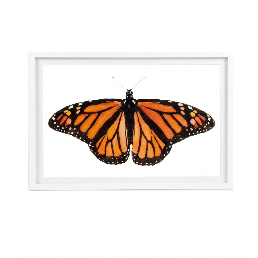 Butterfly Watercolor Print by Lizzi Connaughton