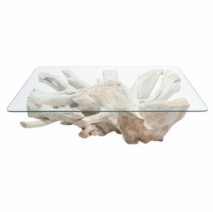 Teak Root Coffee Table IV