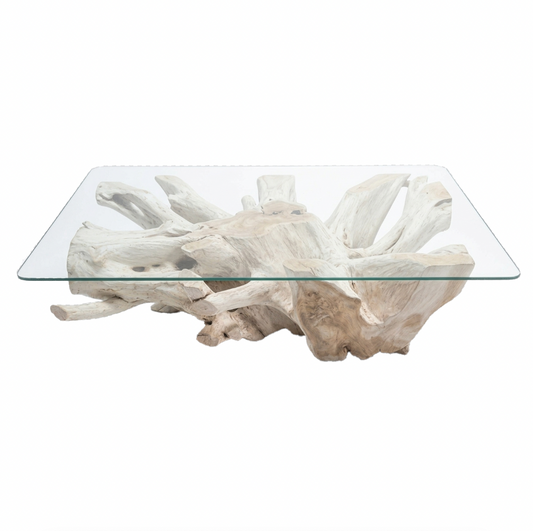 Teak Root Coffee Table IV