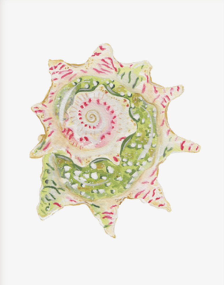 Shell Prints by Catherine Cartie 8x10