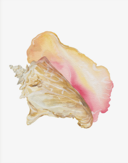 Shell Prints by Catherine Cartie 8x10