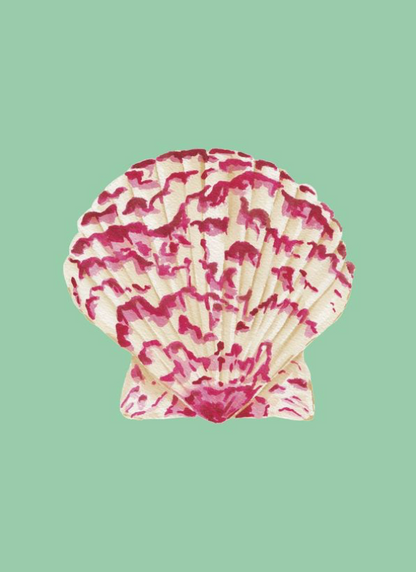 Shell Prints by Catherine Cartie 5x7