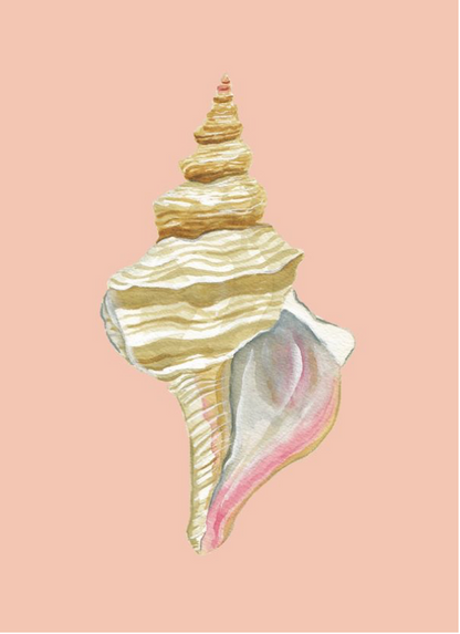 Shell Prints by Catherine Cartie 5x7