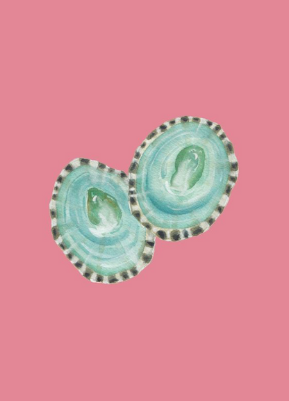 Shell Prints by Catherine Cartie 5x7