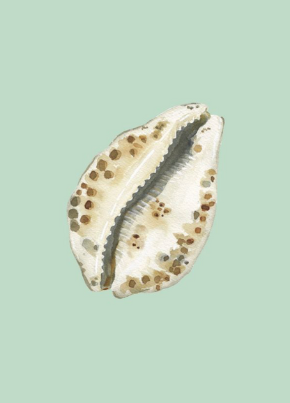 Shell Prints by Catherine Cartie 5x7
