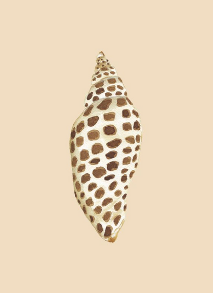 Shell Prints by Catherine Cartie 5x7
