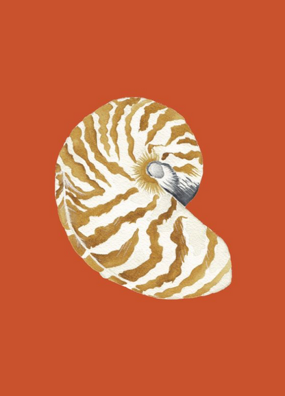 Shell Prints by Catherine Cartie 5x7