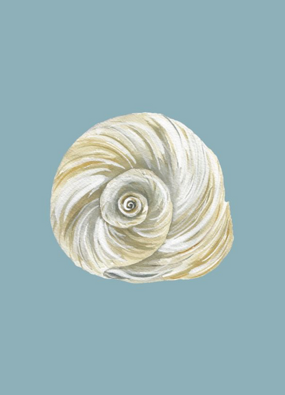 Shell Prints by Catherine Cartie 5x7