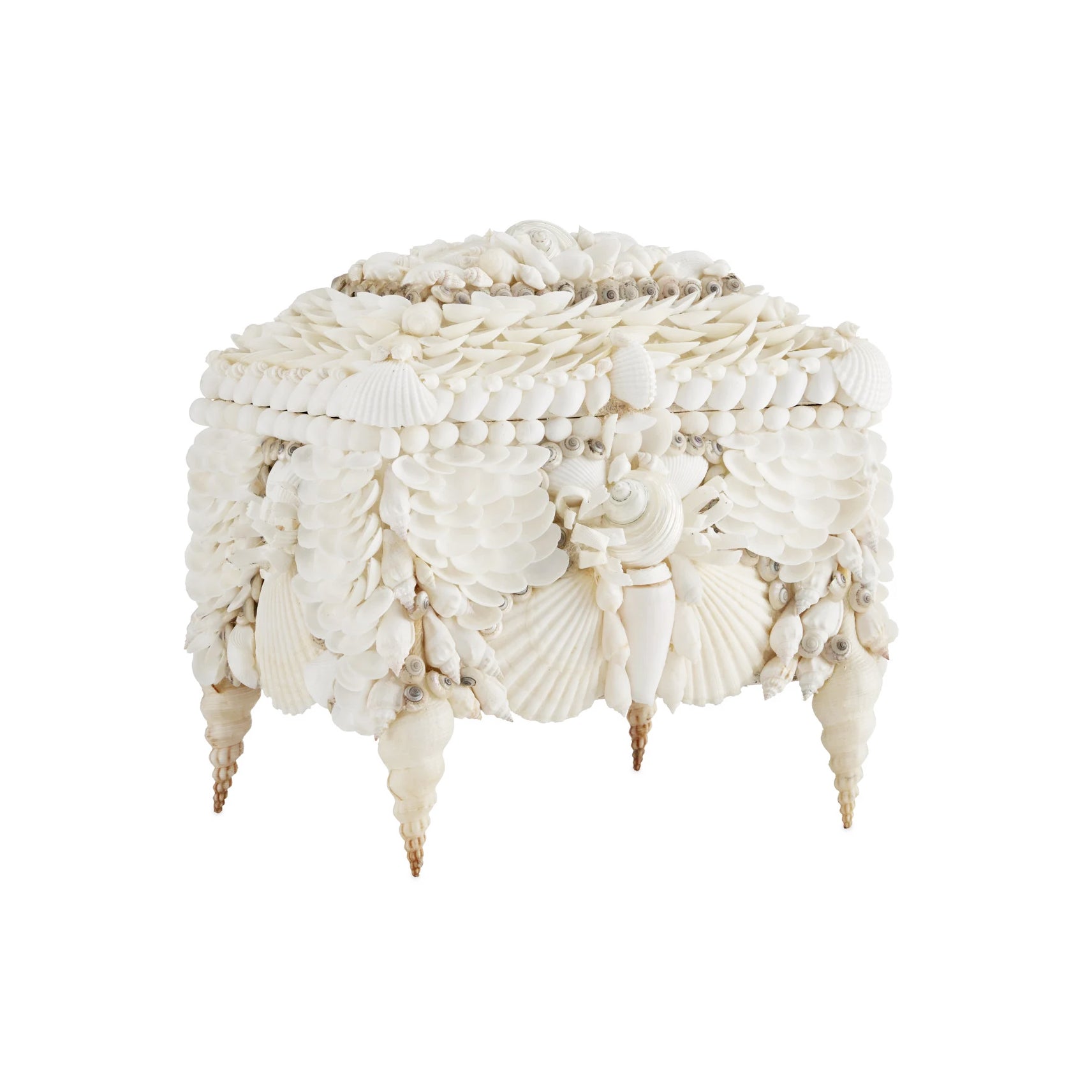 Palm Beach Shell Box – The Nix